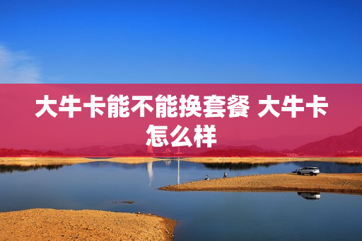 大牛卡能不能换套餐 大牛卡怎么样