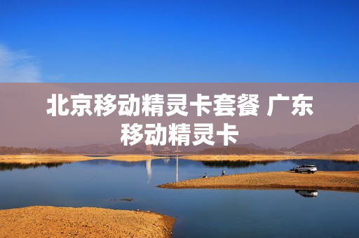 北京移动精灵卡套餐 广东移动精灵卡
