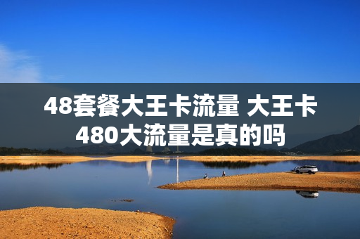 48套餐大王卡流量 大王卡480大流量是真的吗