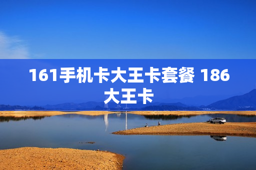 161手机卡大王卡套餐 186大王卡