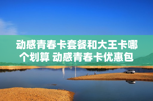 动感青春卡套餐和大王卡哪个划算 动感青春卡优惠包d20元,48个月其他流量
