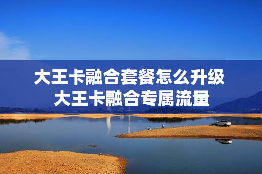 大王卡融合套餐怎么升级 大王卡融合专属流量