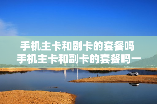手机主卡和副卡的套餐吗 手机主卡和副卡的套餐吗一样吗