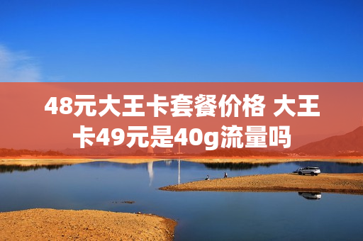 48元大王卡套餐价格 大王卡49元是40g流量吗