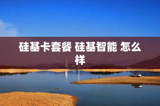 硅基卡套餐 硅基智能 怎么样