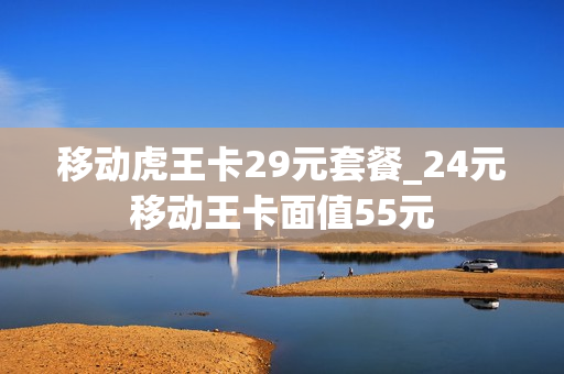 移动虎王卡29元套餐_24元移动王卡面值55元