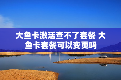 大鱼卡激活查不了套餐 大鱼卡套餐可以变更吗