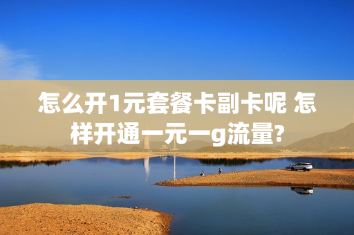 怎么开1元套餐卡副卡呢 怎样开通一元一g流量?