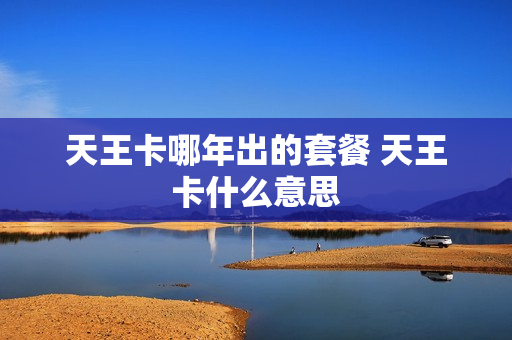 天王卡哪年出的套餐 天王卡什么意思