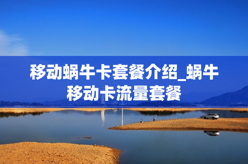 移动蜗牛卡套餐介绍_蜗牛移动卡流量套餐