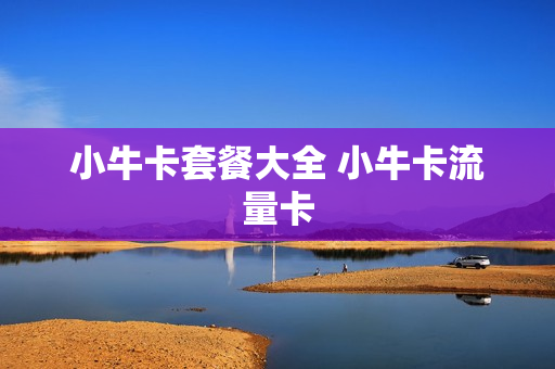 小牛卡套餐大全 小牛卡流量卡