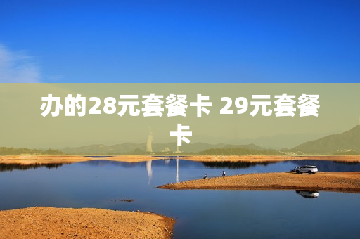 办的28元套餐卡 29元套餐卡
