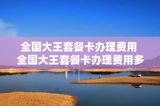全国大王套餐卡办理费用 全国大王套餐卡办理费用多少