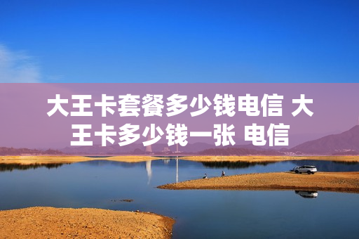 大王卡套餐多少钱电信 大王卡多少钱一张 电信