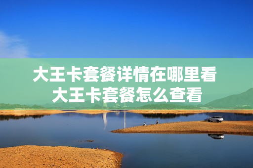大王卡套餐详情在哪里看 大王卡套餐怎么查看