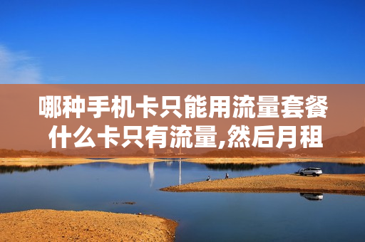 哪种手机卡只能用流量套餐 什么卡只有流量,然后月租不贵