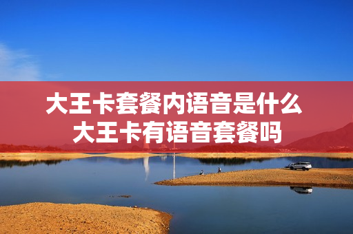 大王卡套餐内语音是什么 大王卡有语音套餐吗