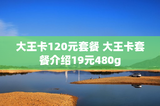 大王卡120元套餐 大王卡套餐介绍19元480g