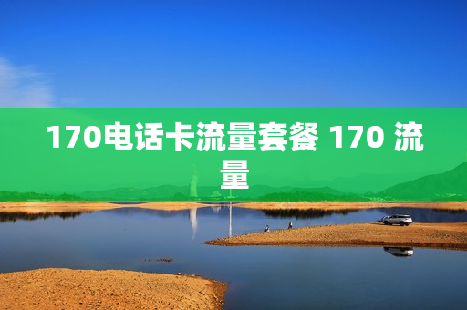 170电话卡流量套餐 170 流量