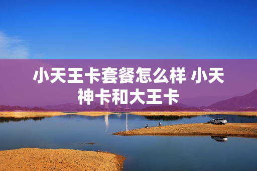 小天王卡套餐怎么样 小天神卡和大王卡