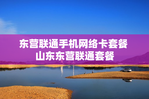 东营联通手机网络卡套餐 山东东营联通套餐