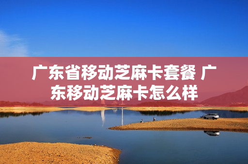广东省移动芝麻卡套餐 广东移动芝麻卡怎么样