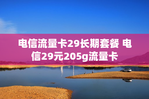 电信流量卡29长期套餐 电信29元205g流量卡