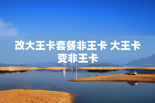 改大王卡套餐非王卡 大王卡变非王卡