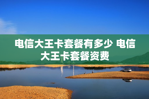 电信大王卡套餐有多少 电信大王卡套餐资费