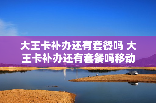 大王卡补办还有套餐吗 大王卡补办还有套餐吗移动