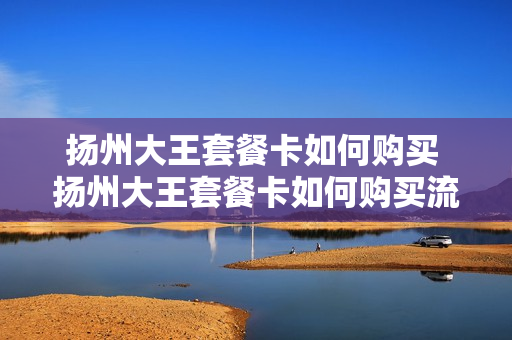 扬州大王套餐卡如何购买 扬州大王套餐卡如何购买流量