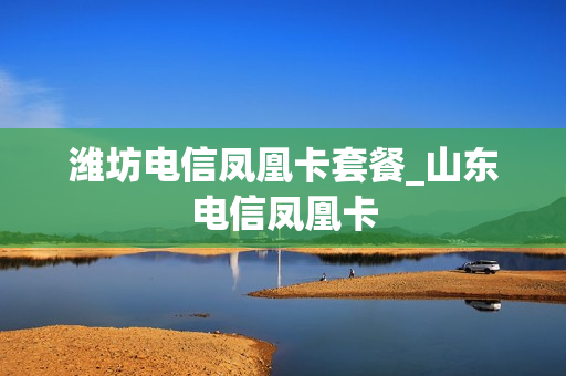 潍坊电信凤凰卡套餐_山东电信凤凰卡