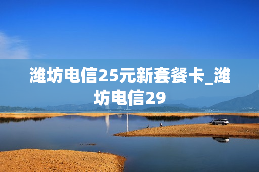 潍坊电信25元新套餐卡_潍坊电信29
