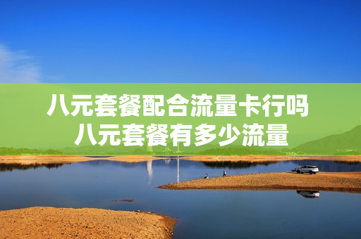 八元套餐配合流量卡行吗 八元套餐有多少流量