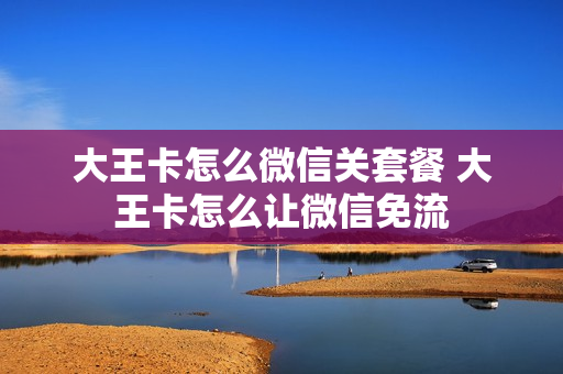 大王卡怎么微信关套餐 大王卡怎么让微信免流