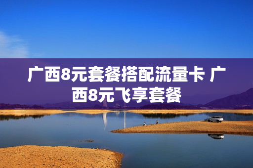 广西8元套餐搭配流量卡 广西8元飞享套餐
