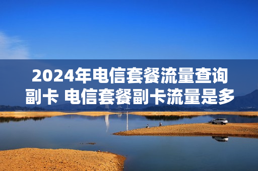 2024年电信套餐流量查询副卡 电信套餐副卡流量是多少