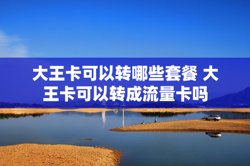 大王卡可以转哪些套餐 大王卡可以转成流量卡吗