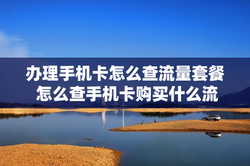 办理手机卡怎么查流量套餐 怎么查手机卡购买什么流量套餐