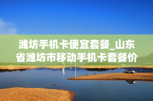 潍坊手机卡便宜套餐_山东省潍坊市移动手机卡套餐价格