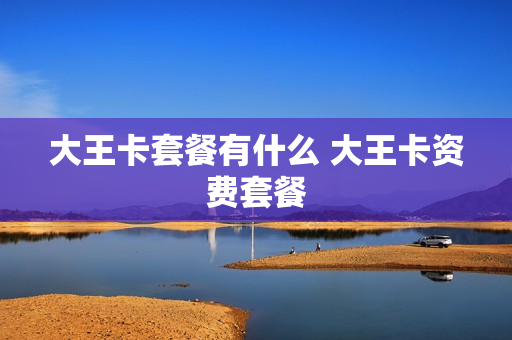大王卡套餐有什么 大王卡资费套餐