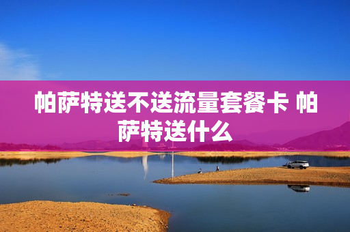 帕萨特送不送流量套餐卡 帕萨特送什么
