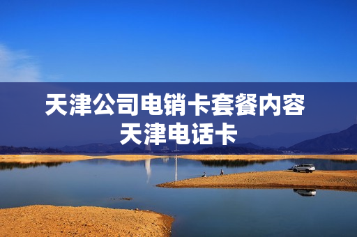 天津公司电销卡套餐内容 天津电话卡