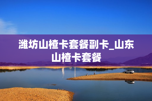 潍坊山楂卡套餐副卡_山东山楂卡套餐