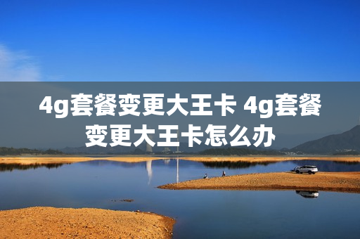 4g套餐变更大王卡 4g套餐变更大王卡怎么办