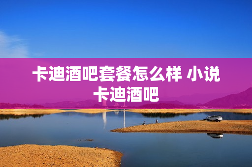 卡迪酒吧套餐怎么样 小说卡迪酒吧