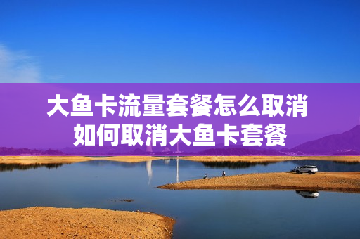 大鱼卡流量套餐怎么取消 如何取消大鱼卡套餐