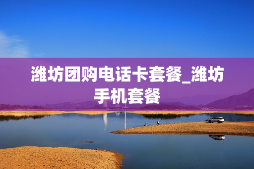 潍坊团购电话卡套餐_潍坊手机套餐