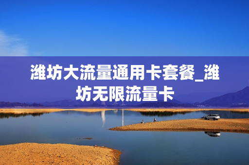 潍坊大流量通用卡套餐_潍坊无限流量卡