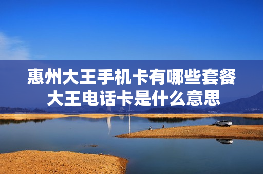 惠州大王手机卡有哪些套餐 大王电话卡是什么意思